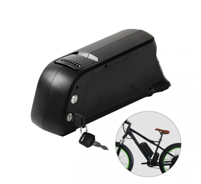 Dolphin Lithium Ion 48v 15ah Ebike Battery 18650 cell 36v 20ah 1